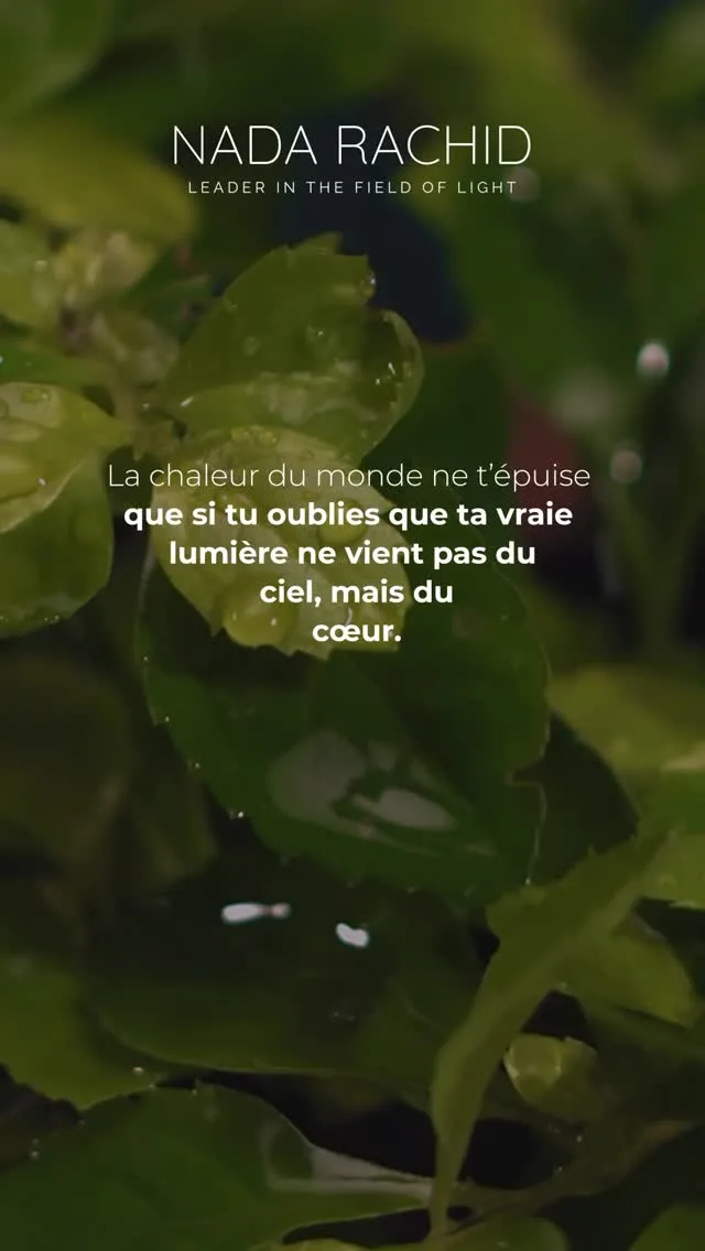 La chaleur du monde ne peut t’éteindre si tu restes connecté·e à ta lumière intérieure. 💛

.
.
.

#LumièreIntérieure #BienÊtre #ÉnergiePositive #Conscience #Vitalité #Équilibre #SantéHolistique #Summer2025